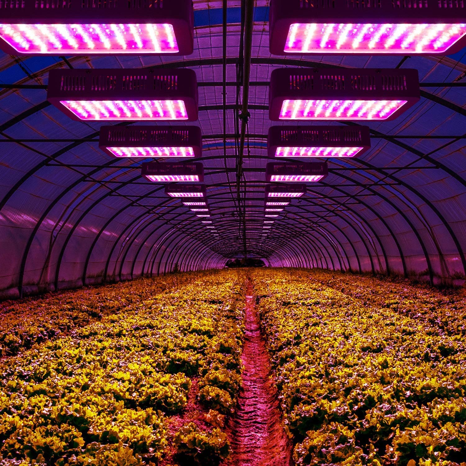 1000w Full Spectrum Spektrum Bitki Çiçek Yetiştirme Ledi Lambası Grow Light Gelişim