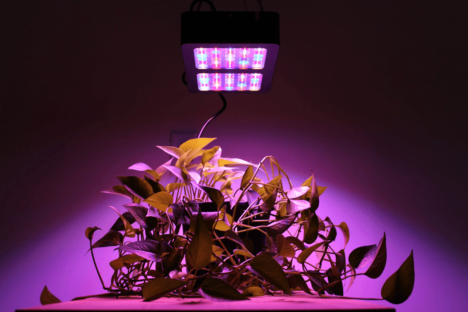 Bitki Yetiştirme LED'leriyle Doğanın İlhamını Evlerinize Taşıyın: Bitkileriniz İçin Mükemmel Aydınlatma Çözümleri