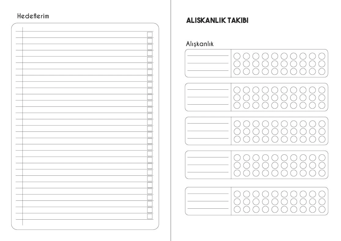Paper Lab 60 Günlük Günlük Planlayıcı (A5)