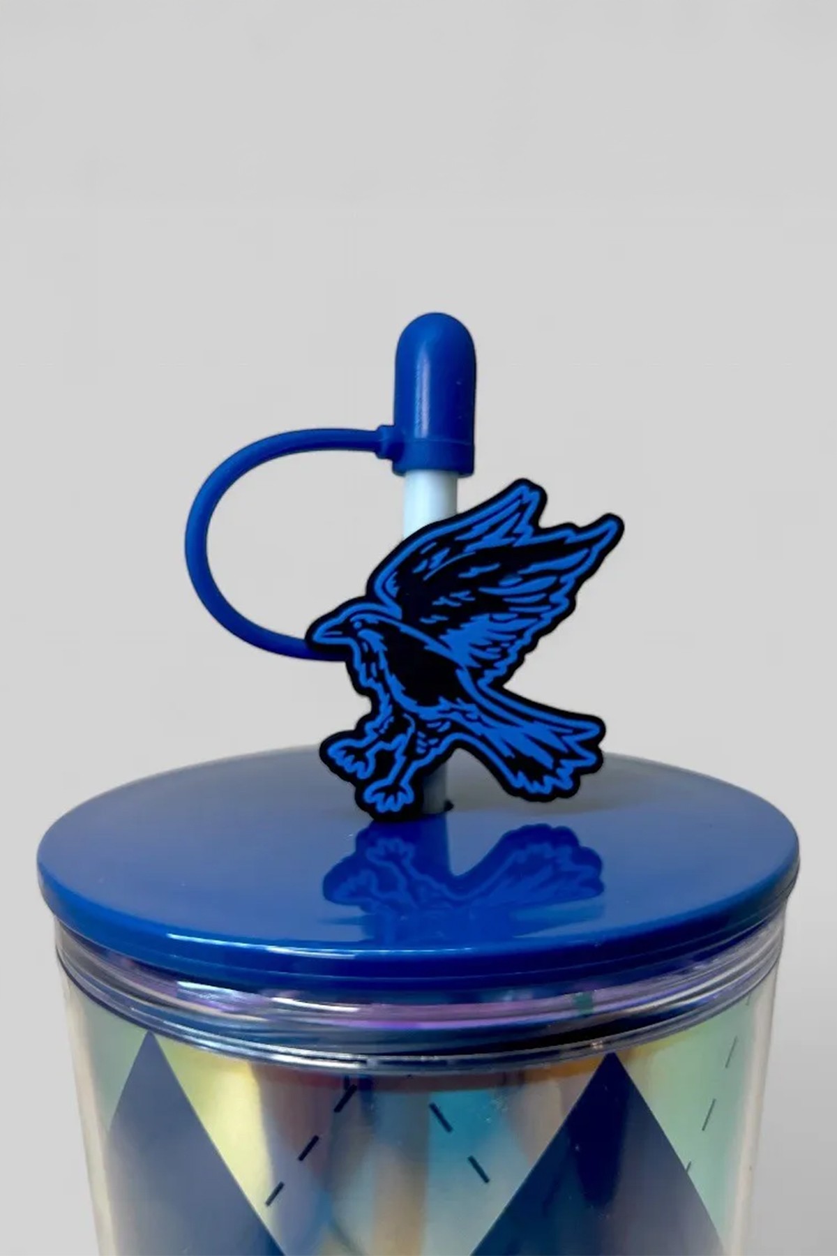Harry Potter Lisanslı Ravenclaw Çift Cidarlı Pipetli Plastik Şişe
