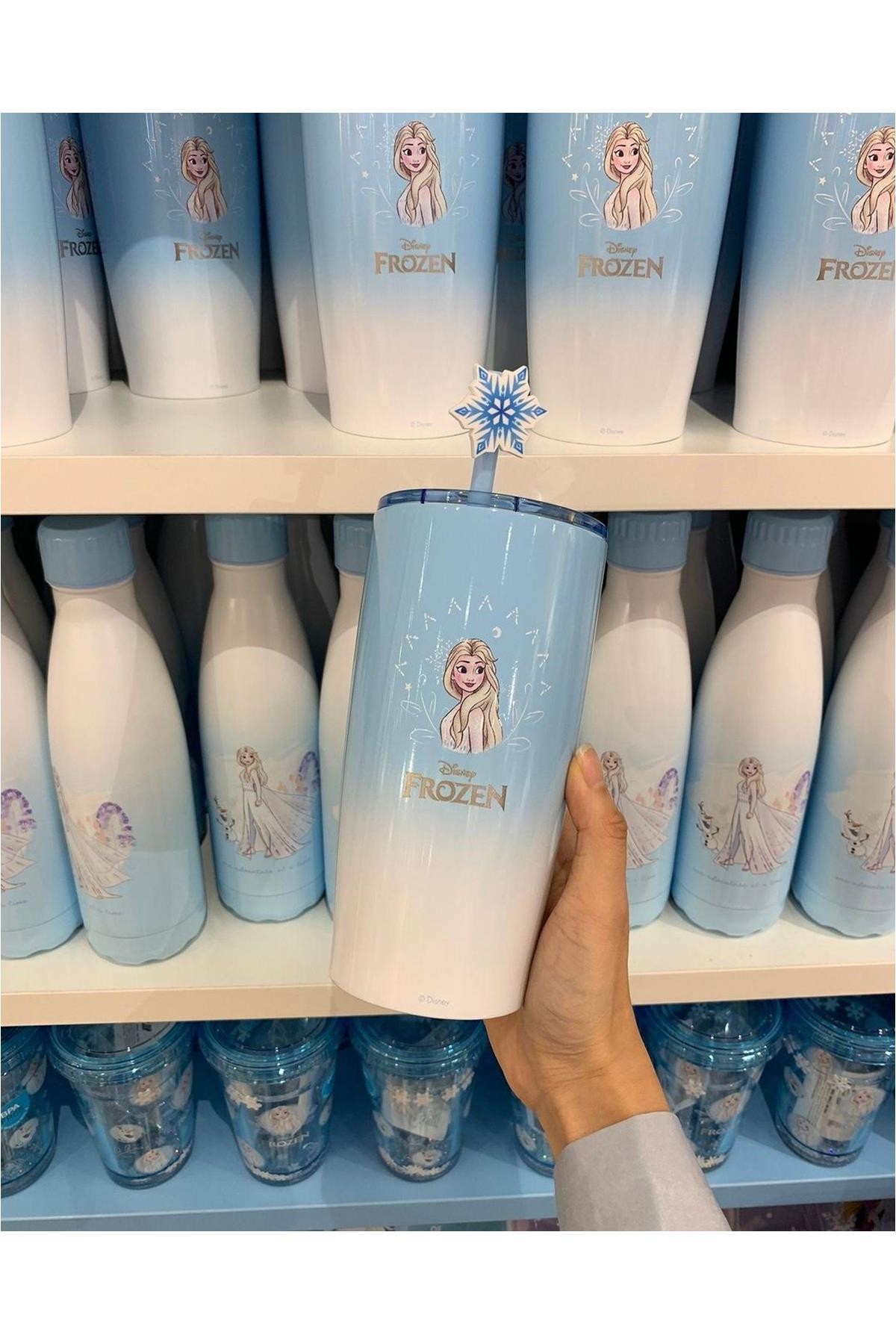 Disney Frozen Lisanslı Pipetli Termos (530Ml)