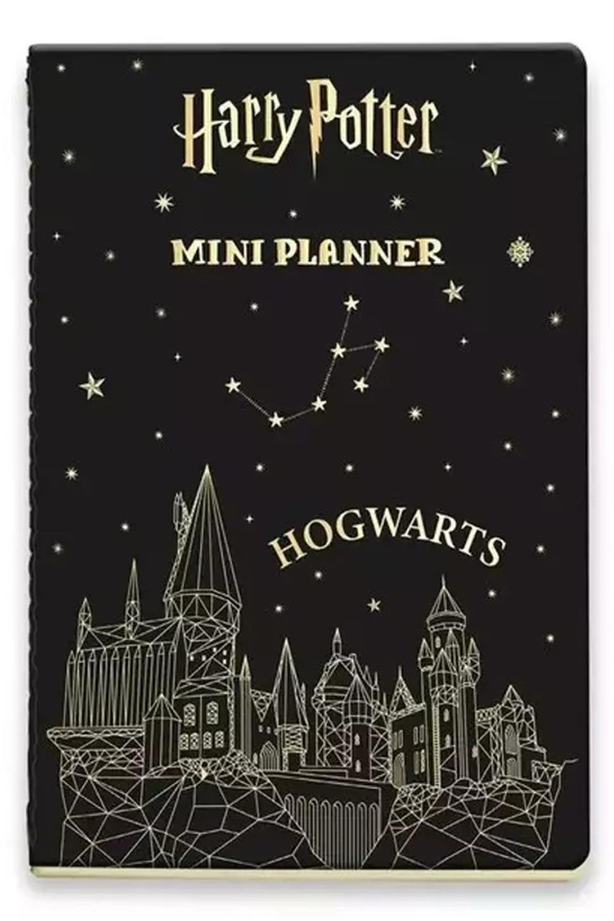 Harry Potter Lisanslı Mini Planlayıcı Gümüş