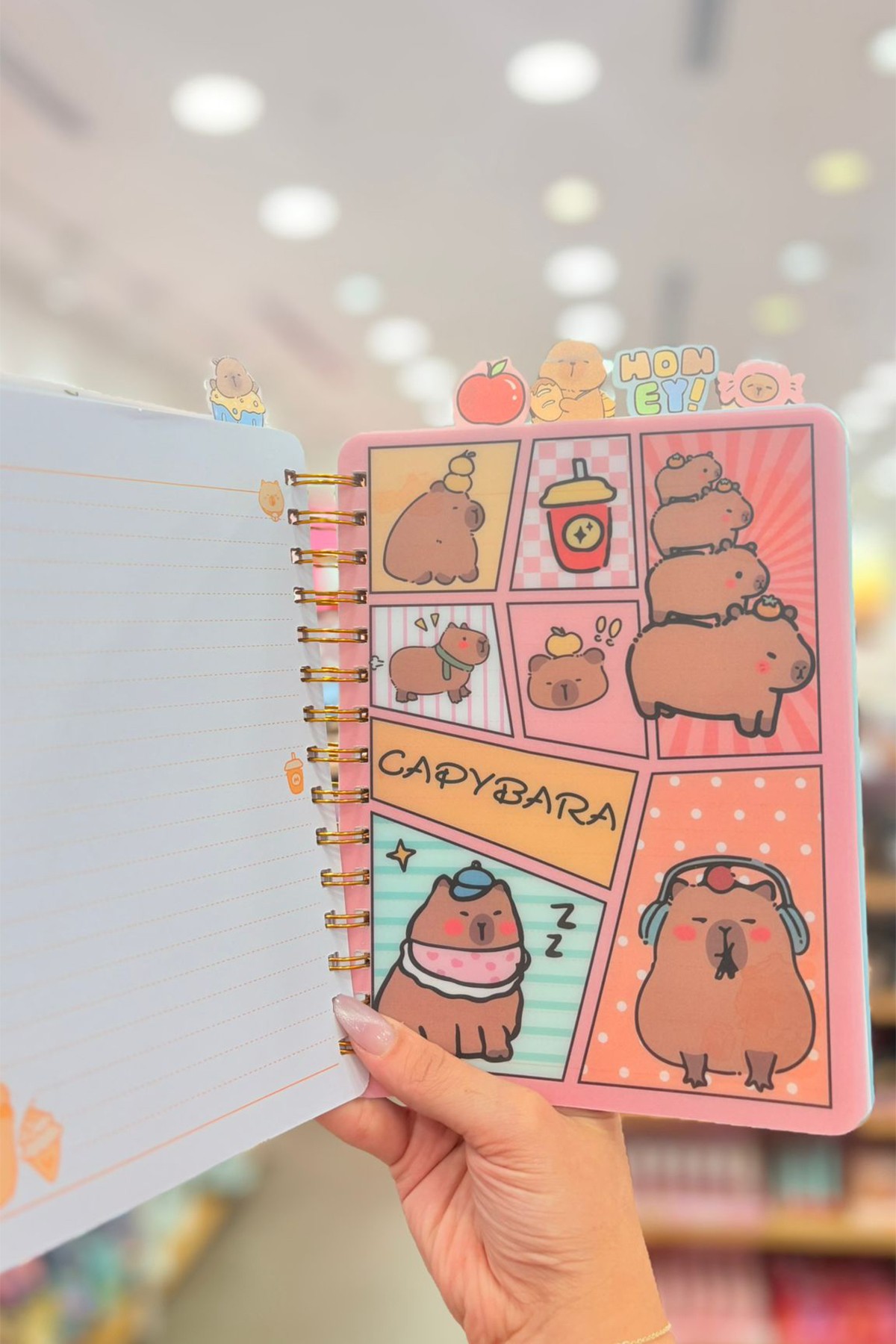 Taros Unick Color Hologramlı Seperatörlü Capybara Defter