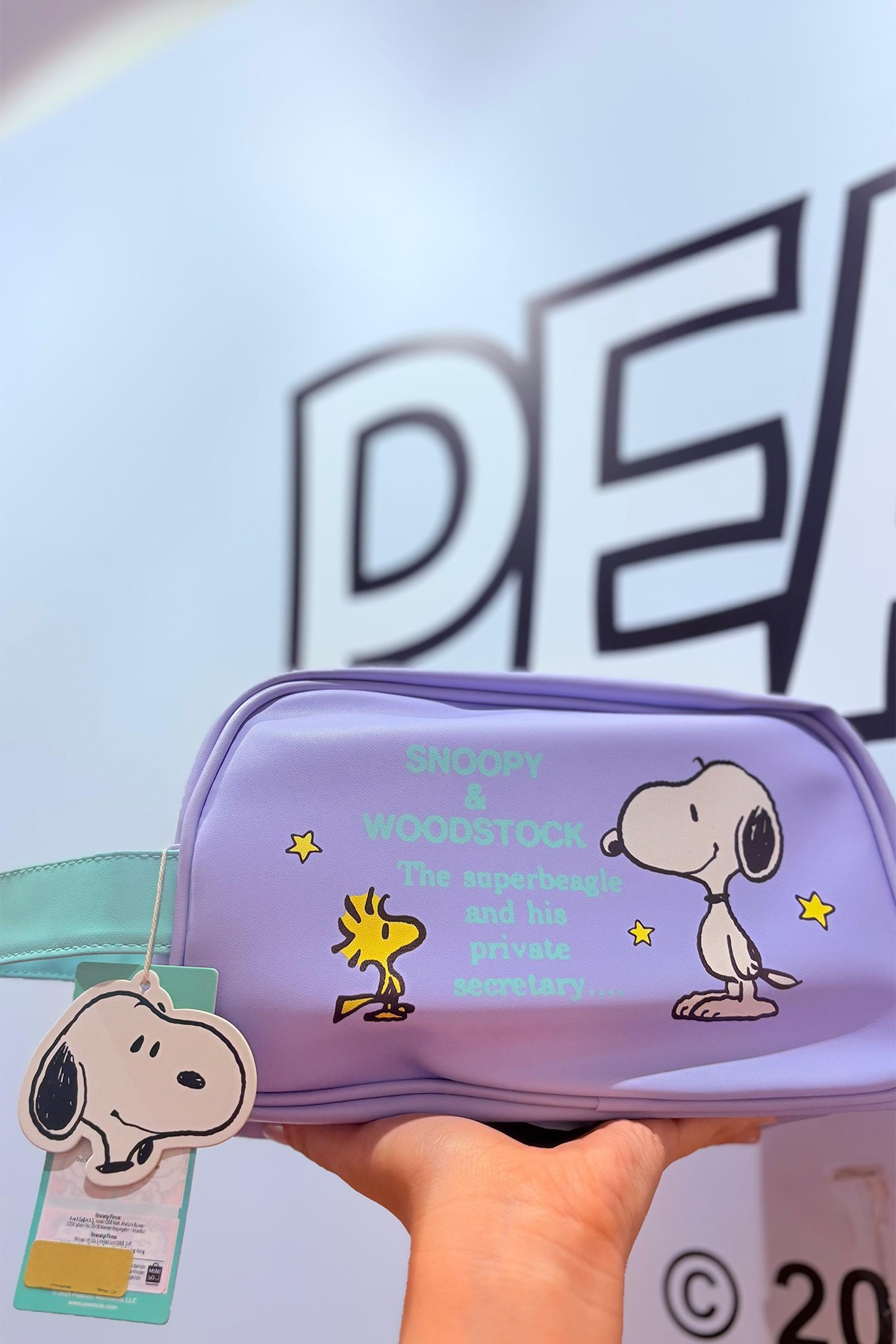 Snoopy Lisanslı Vintage Serisi Kontrast Kozmetik Çantası