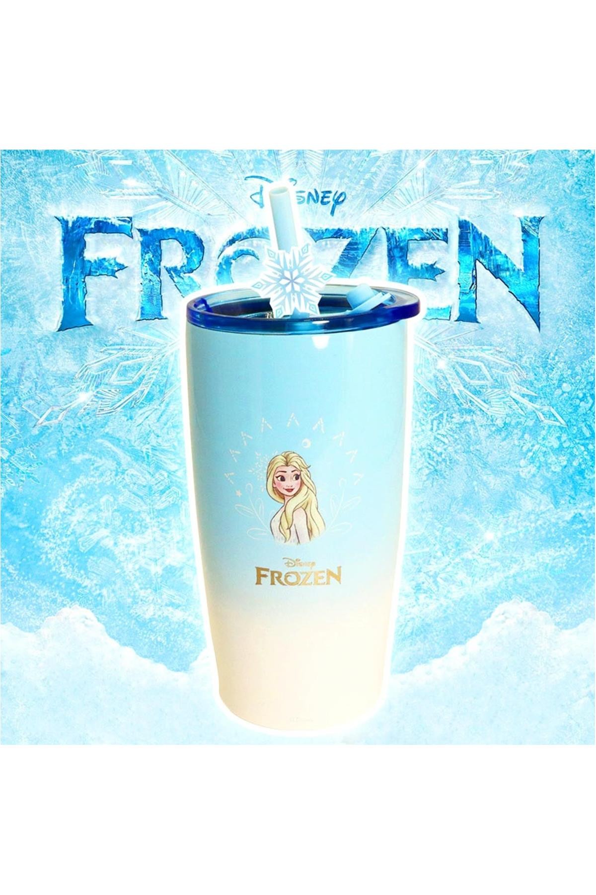 Disney Frozen Lisanslı Pipetli Termos (530Ml)