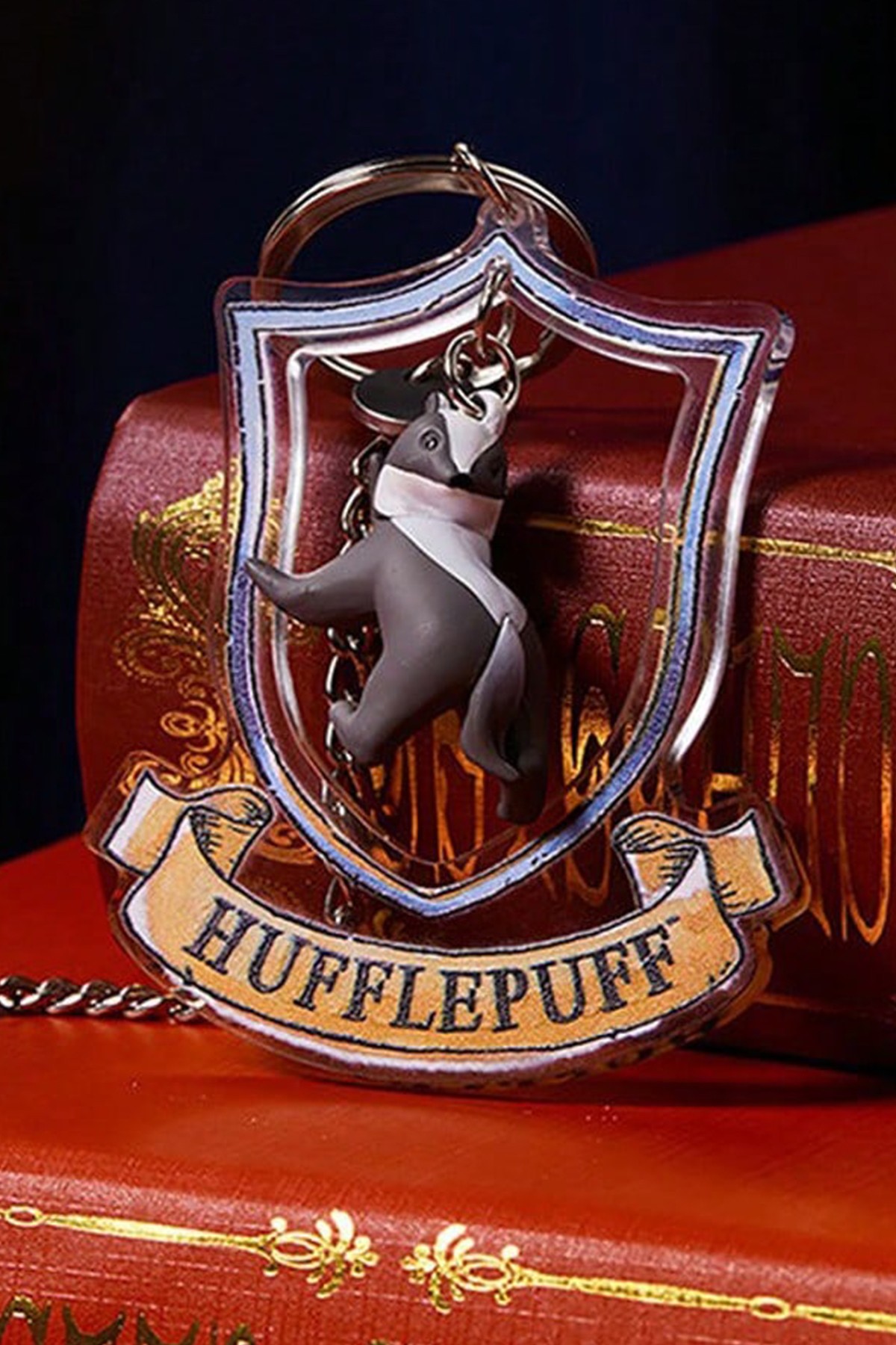 Harry Potter Lisanslı Akrilik Sürpriz Kutu Figürlü Anahtarlık - Blind Box
