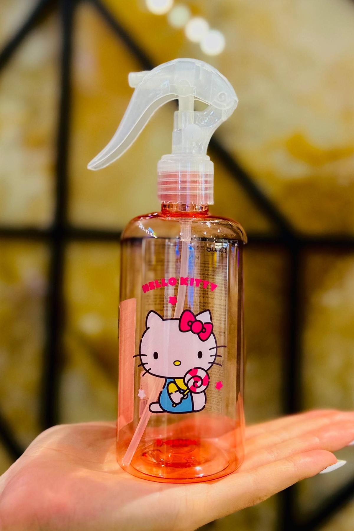 Sanrio Lisanslı Eğlence Parkı Serisi Şişe 280 ml