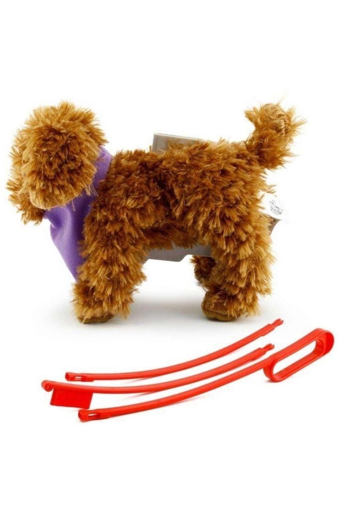 My Puppy Parade Yürüyen Köpeğim Moose