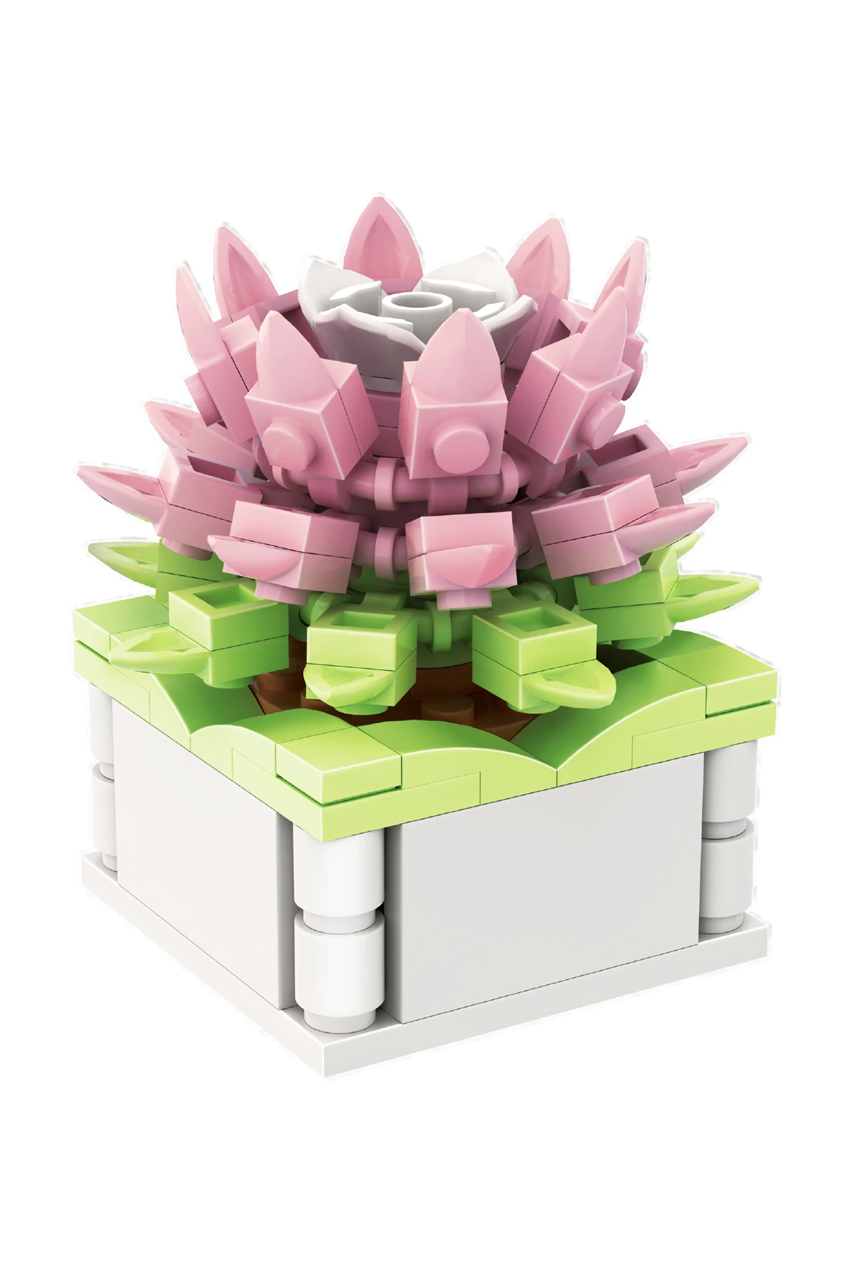 Çiçeklerin Dili Serisi Sukulent Oyun Bloğu (Love Song of Herbs)