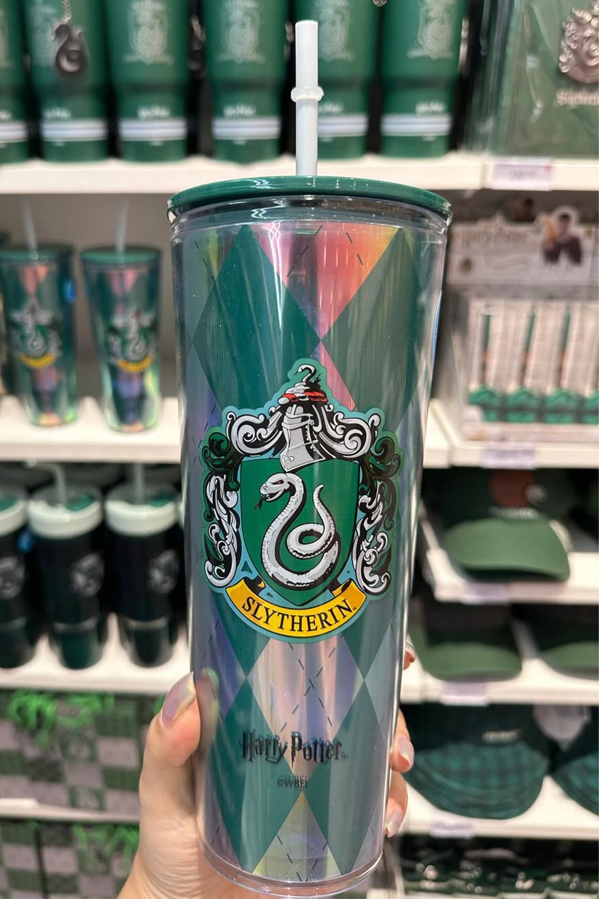 Harry Potter Lisanslı Slytherin  Çift Cidarlı Pipetli Plastik Şişe