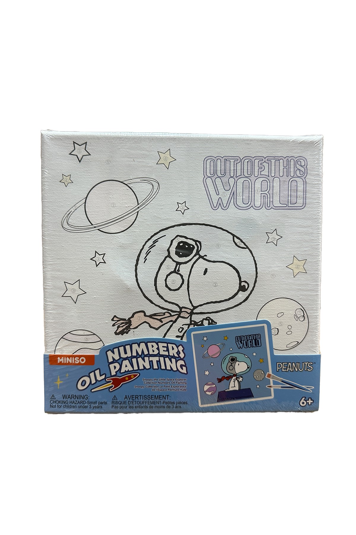 Snoopy Lisanslı Yağlı Boya (3 Farklı Model)