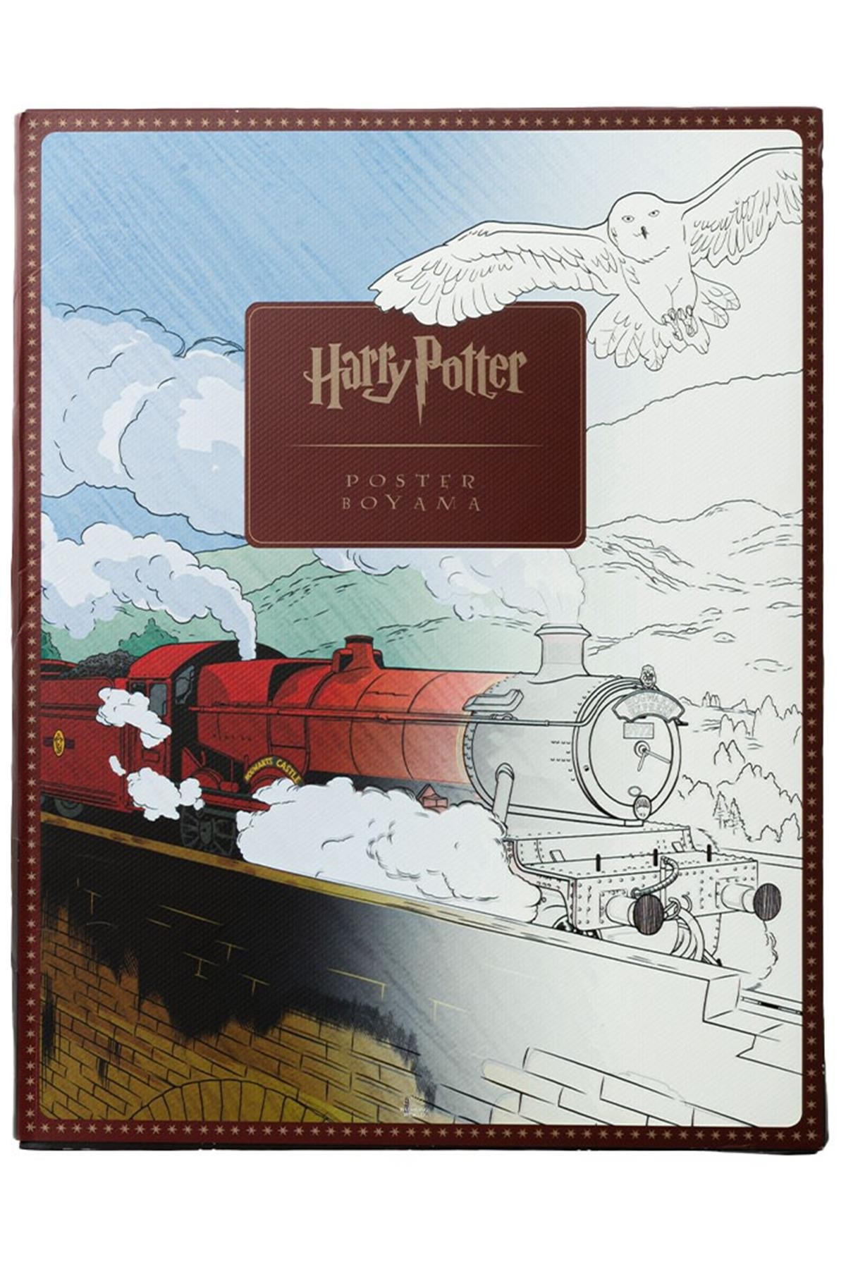 Harry Potter Poster Boyama Kitabı