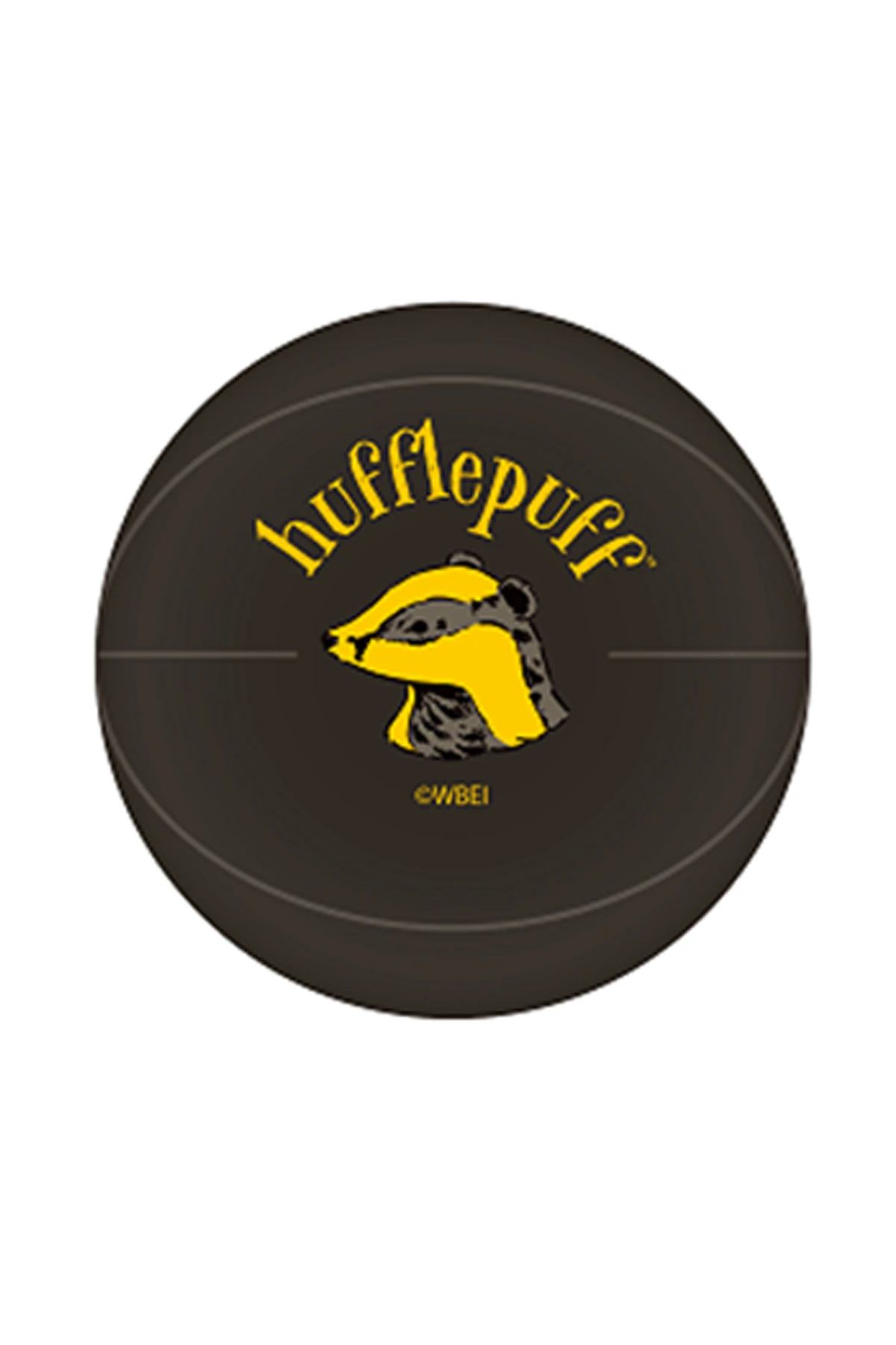 Harry Potter Zıplayan Top (4 Çeşitli Model) (PDQ)