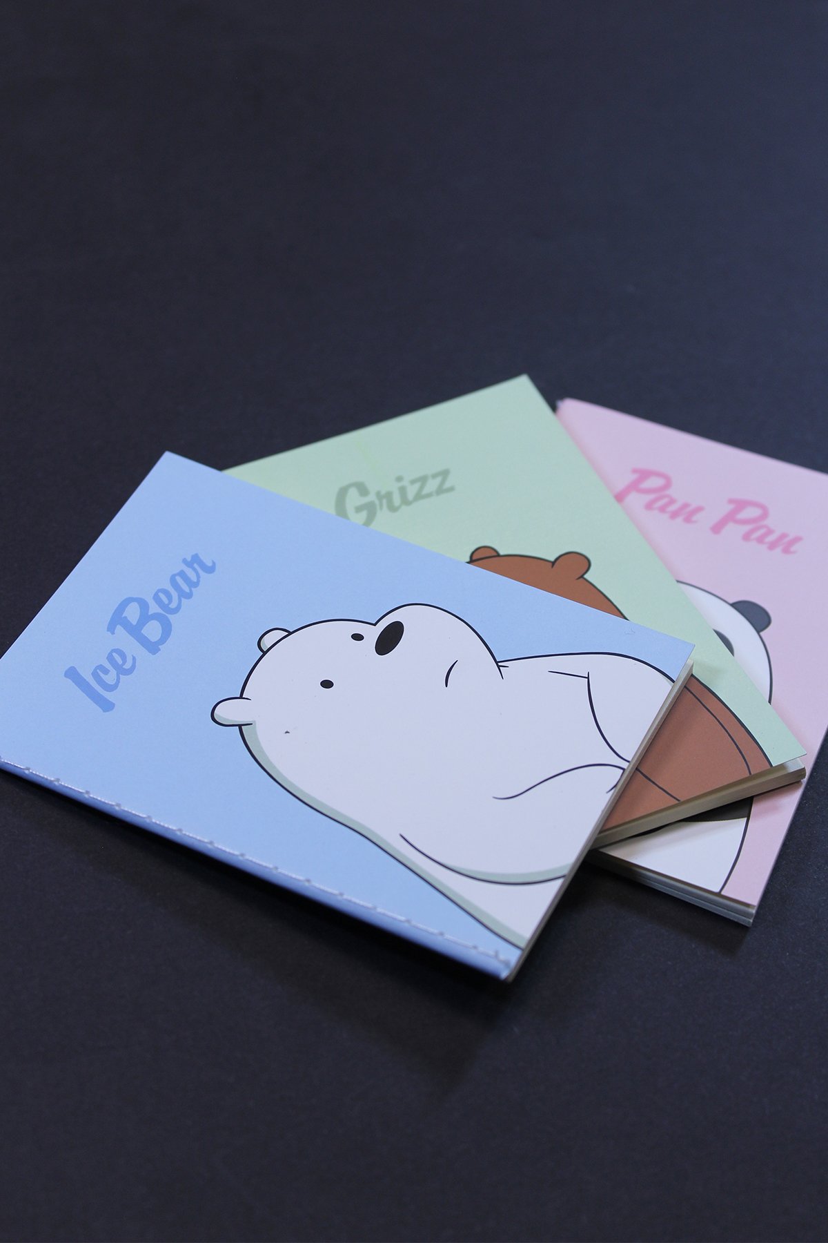 We Bare Bears Lisanslı Çizgili Küçük Not Defteri (4 Adet)