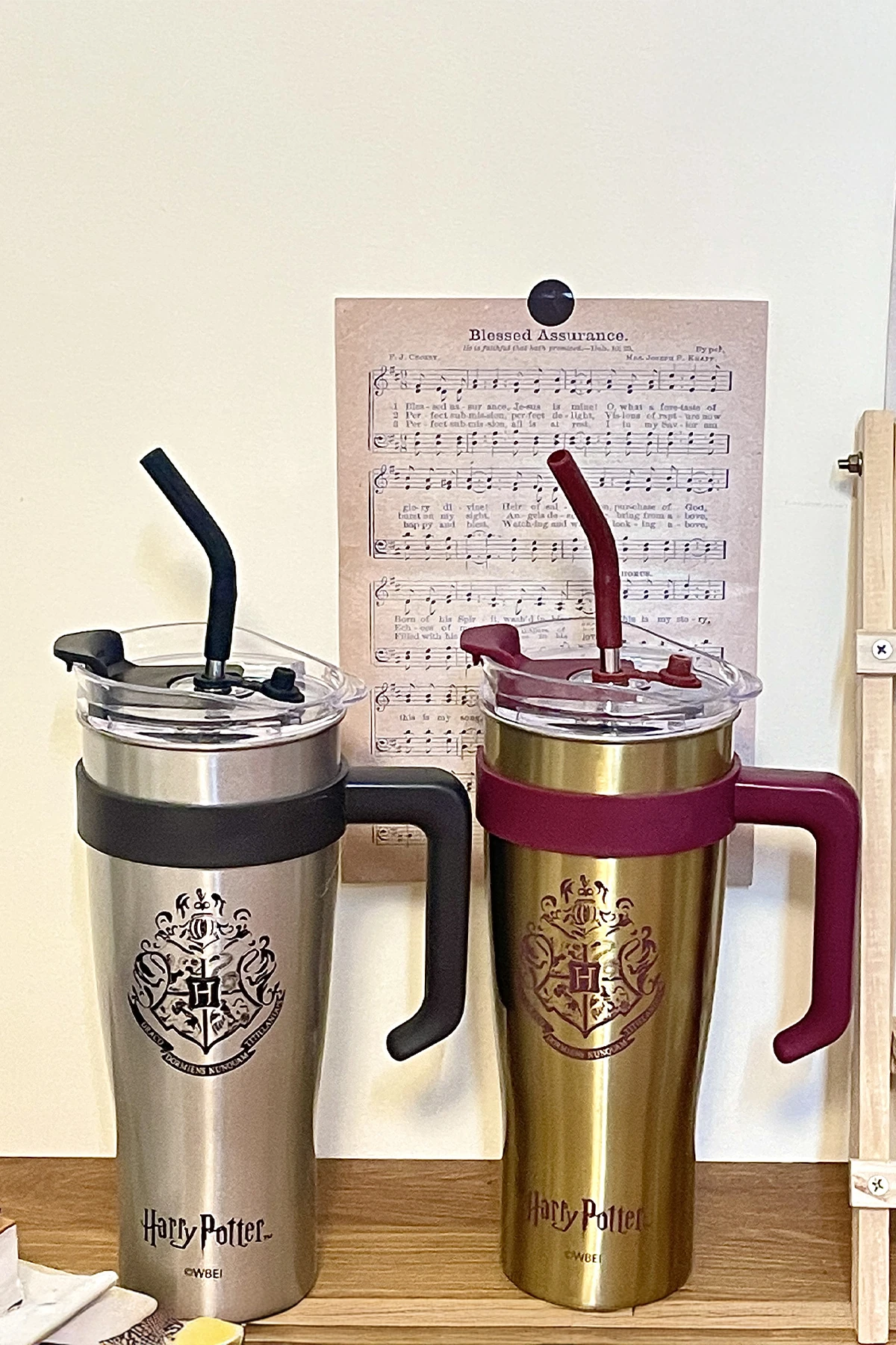 Harry Potter Lisanslı Pipetli Tutacaklı Çelik Matara (1600Ml) (Outlet)