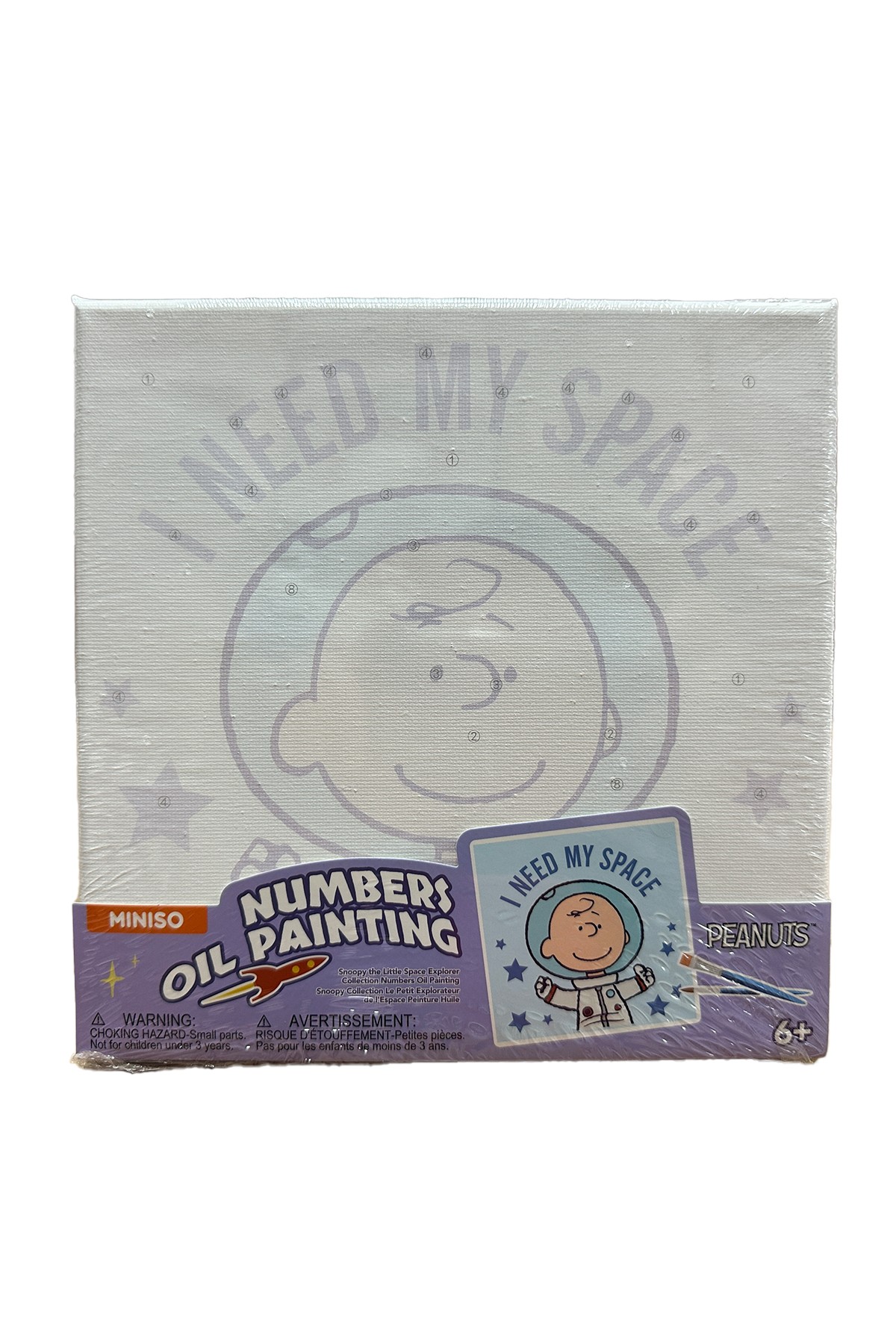 Snoopy Lisanslı Yağlı Boya (3 Farklı Model)