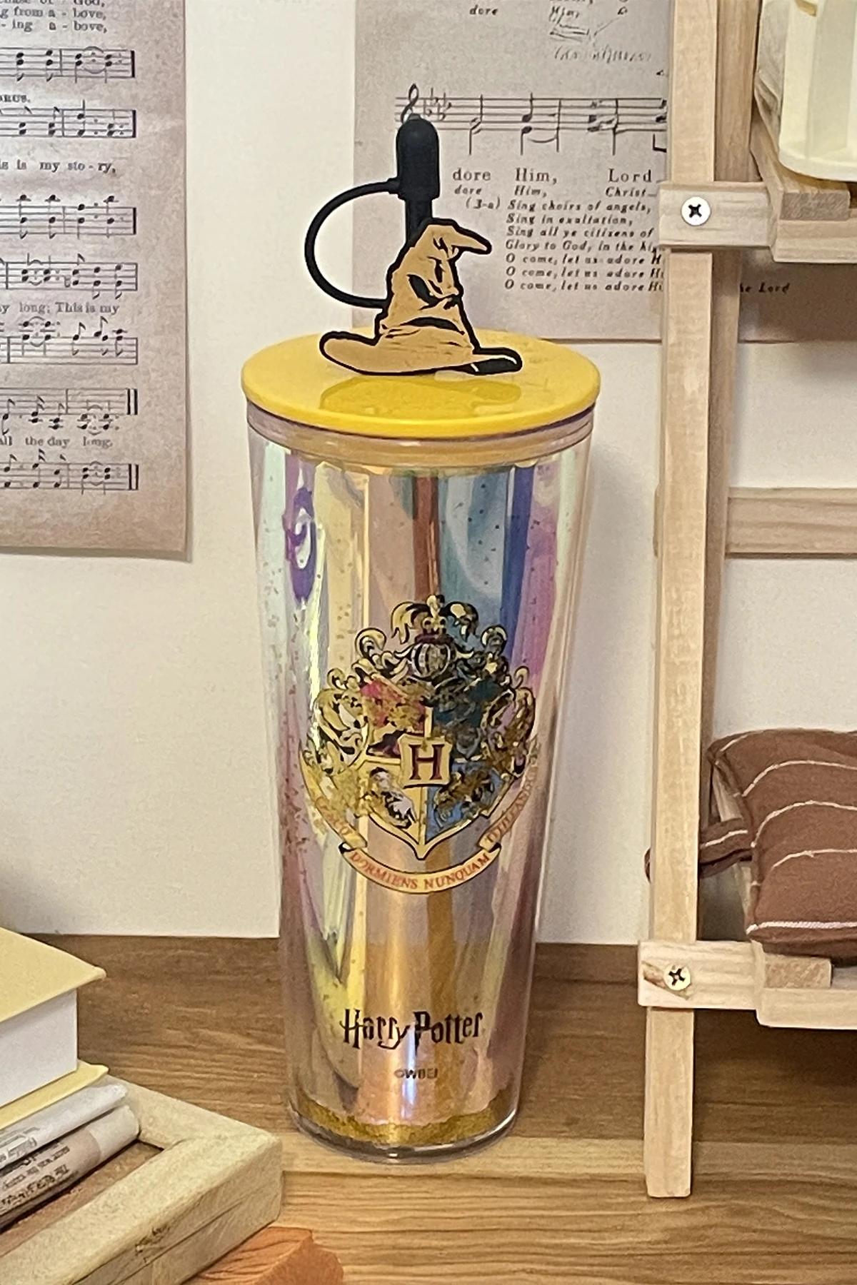 Harry Potter Lisanslı Çift Cidarlı Pipetli Plastik Şişe (Outlet)