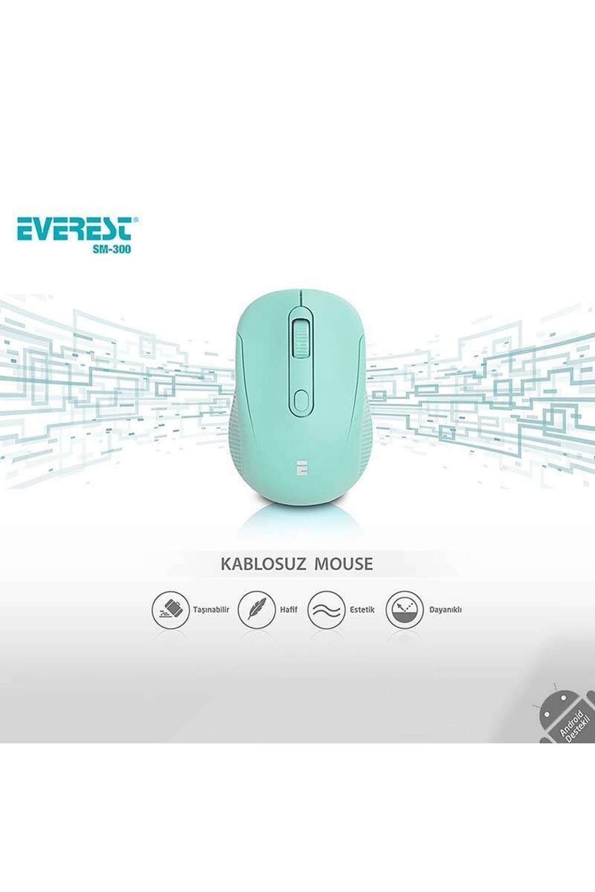 Yeşil Everest Sm-300 Usb Yeşil 4D Optik Alkalin Pil Kablosuz Mouse