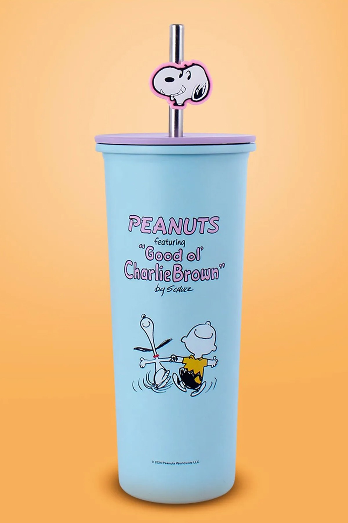 Snoopy Lisanslı Pipetli Paslanmaz Çelik Su Kabı (800ML) - Mavi