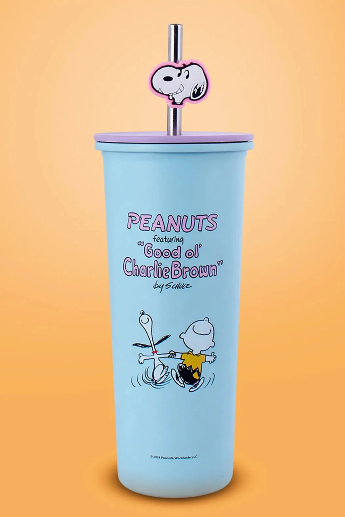 Snoopy Lisanslı Pipetli Paslanmaz Çelik Su Kabı (800Ml) - Mavi (Outlet)