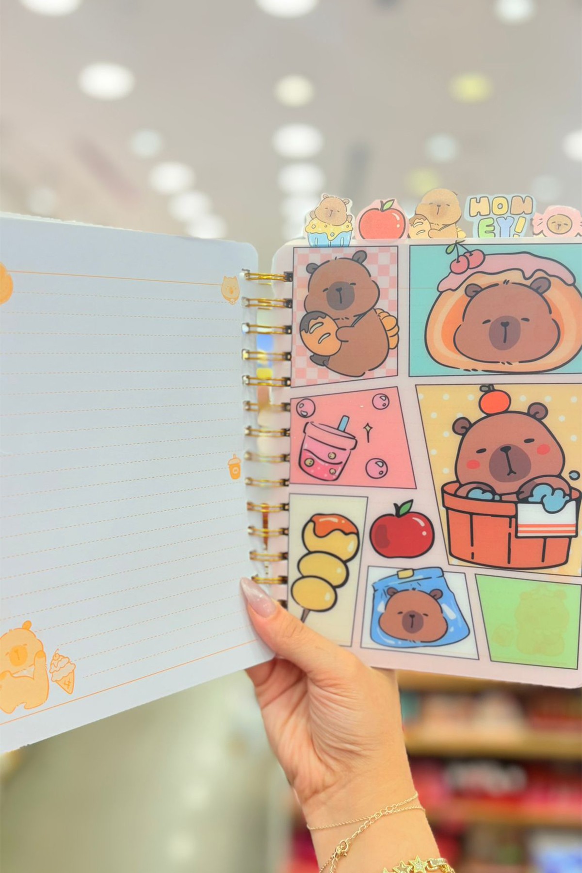 Taros Unick Color Hologramlı Seperatörlü Capybara Defter