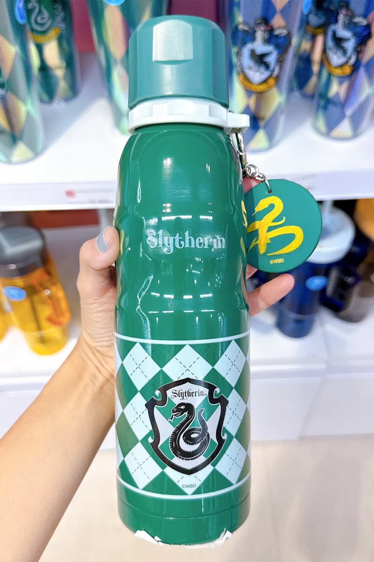 Harry Potter Lisanslı Charmlı Termos 600 ml - Slytherin