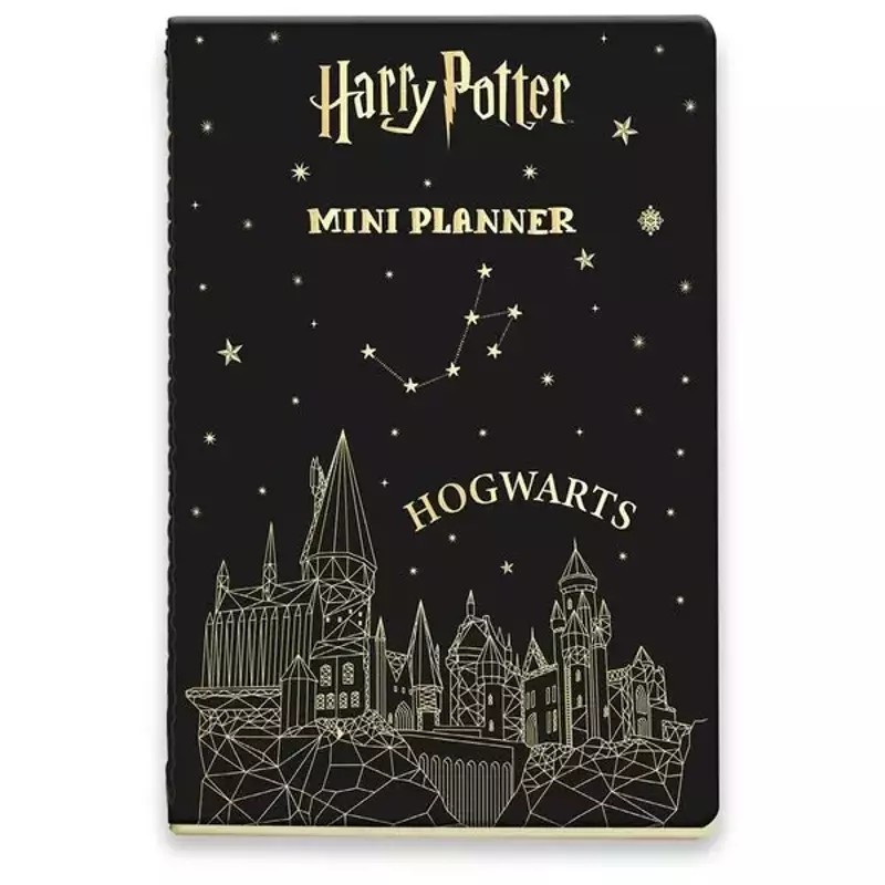 Harry Potter Mini Planlayıcı Gümüş