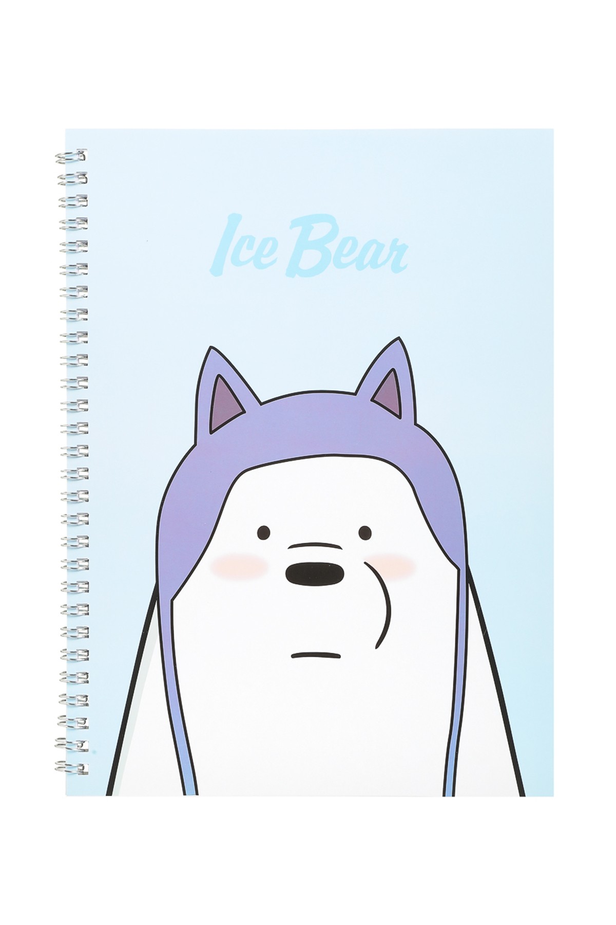 We Bare Bears Lisanslı Telli Çizgili Büyük Not Defteri