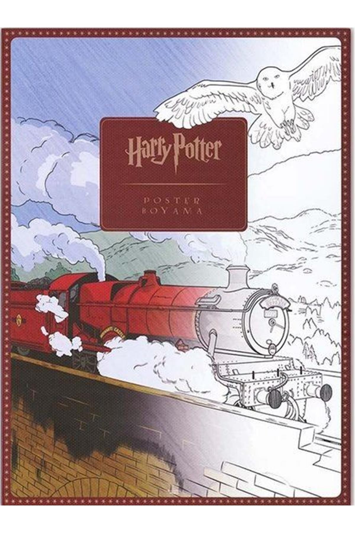 Harry Potter Poster Boyama Kitabı