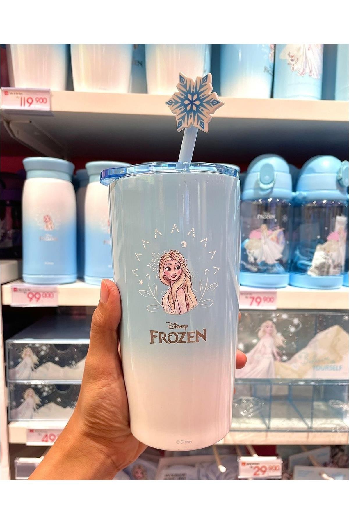 Disney Frozen Lisanslı Pipetli Termos (530Ml)