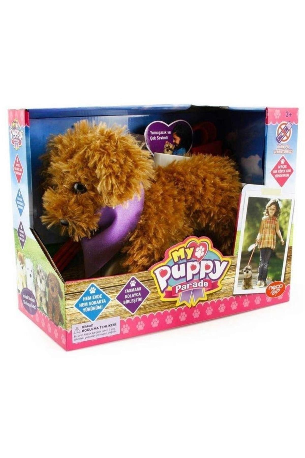 My Puppy Parade Yürüyen Köpeğim Moose