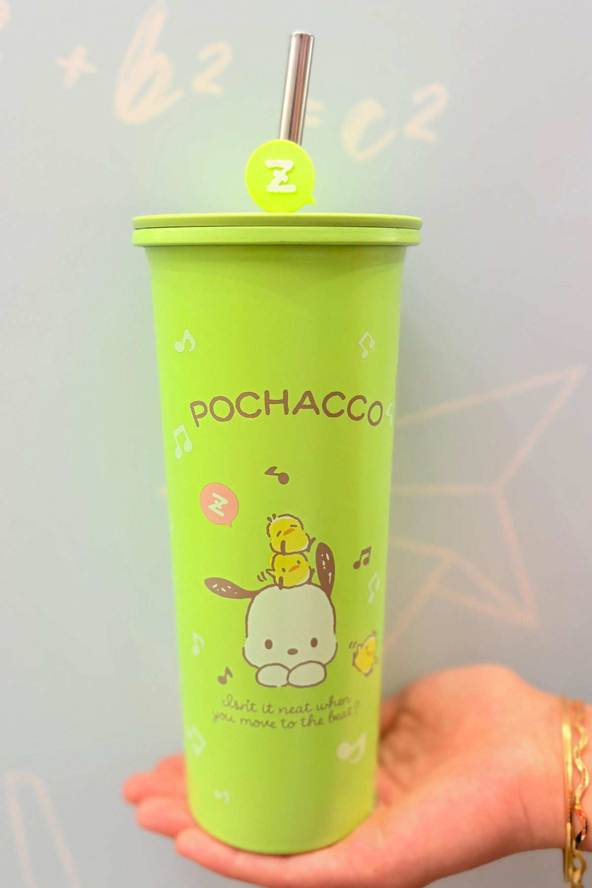 Sanrio Lisanslı Pipetli Paslanmaz Çelik Matara 800mL (Pochacco)
