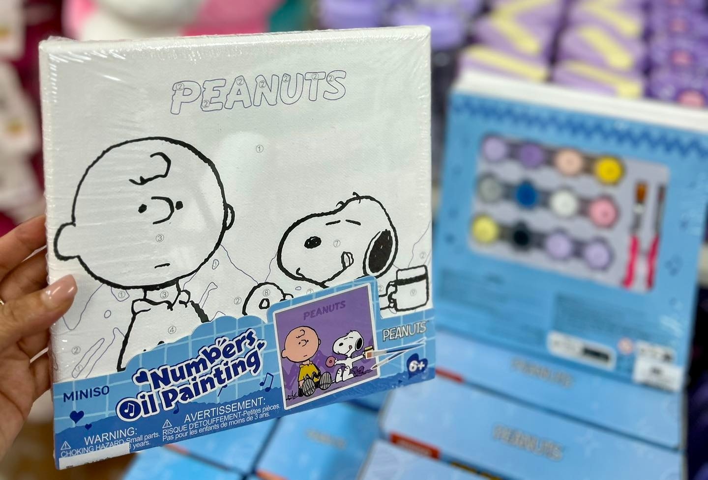 Snoopy Lisanslı Yağlı Boya (3 Farklı Model)