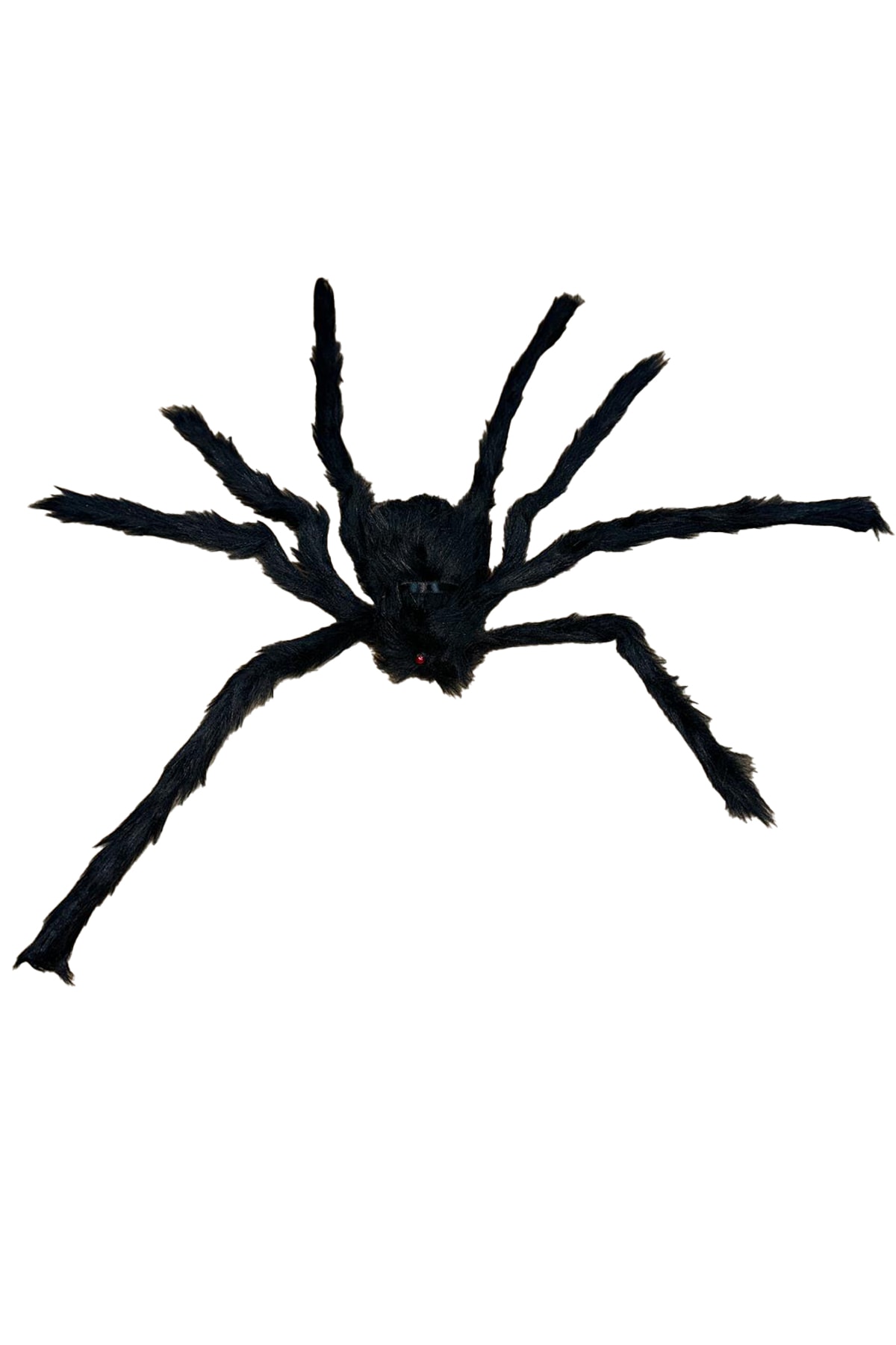 Halloween Siyah Tüylü Örümcek Küçük