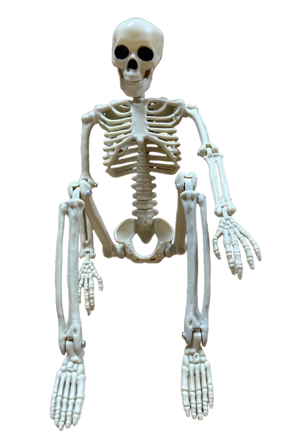 Halloween 40 cm İskelet