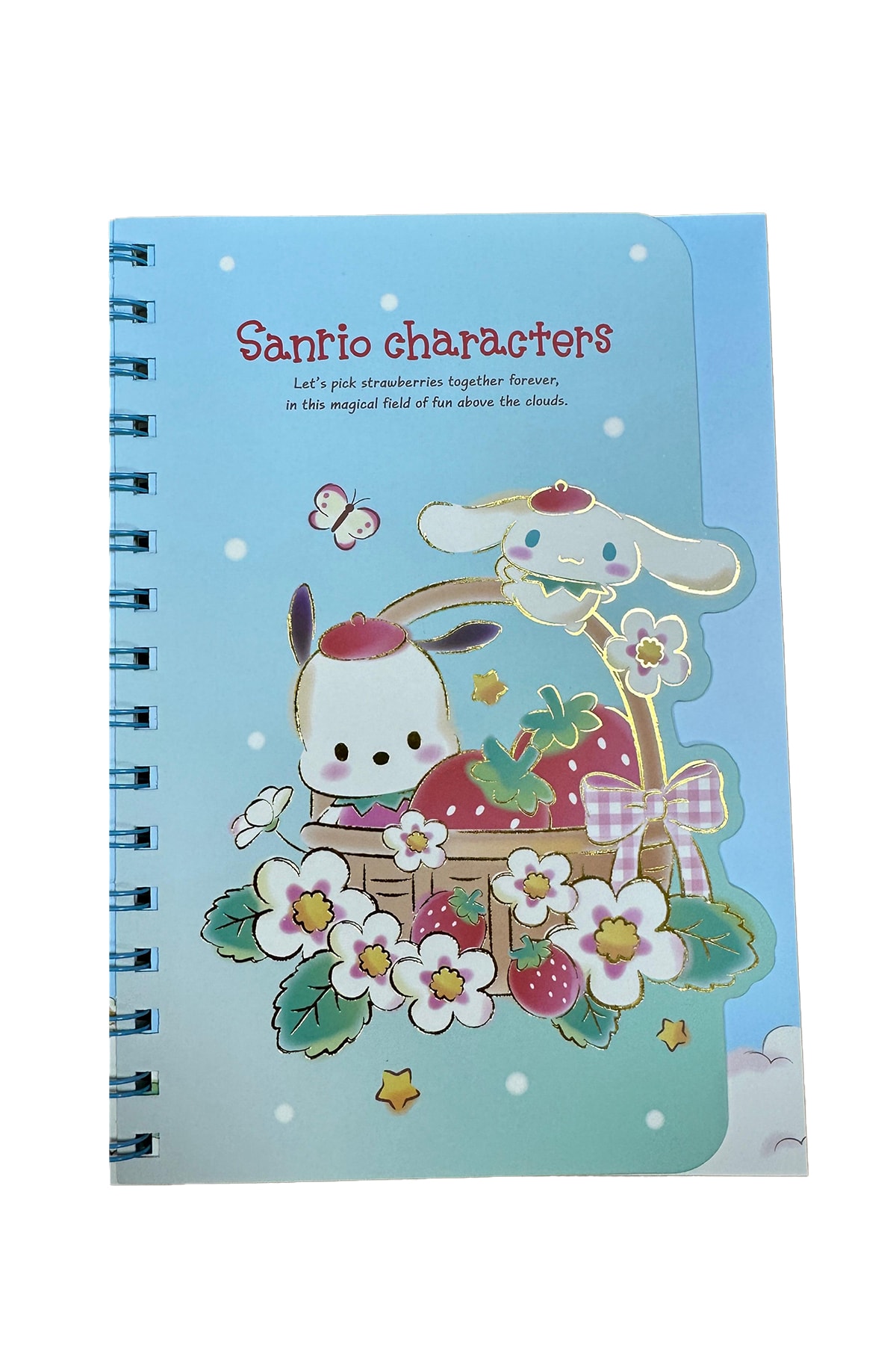 Sanrio Lisanslı Çilek Koleksiyonu A5 Figürlü Tel Ciltli Kitap (64 Sayfa) (2 Çeşitli Model)