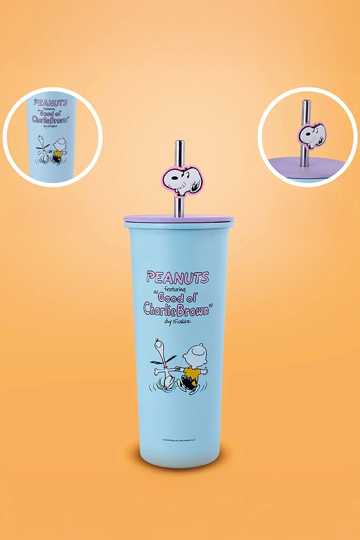 Snoopy Lisanslı Pipetli Paslanmaz Çelik Su Kabı (800Ml) - Mavi (Outlet)