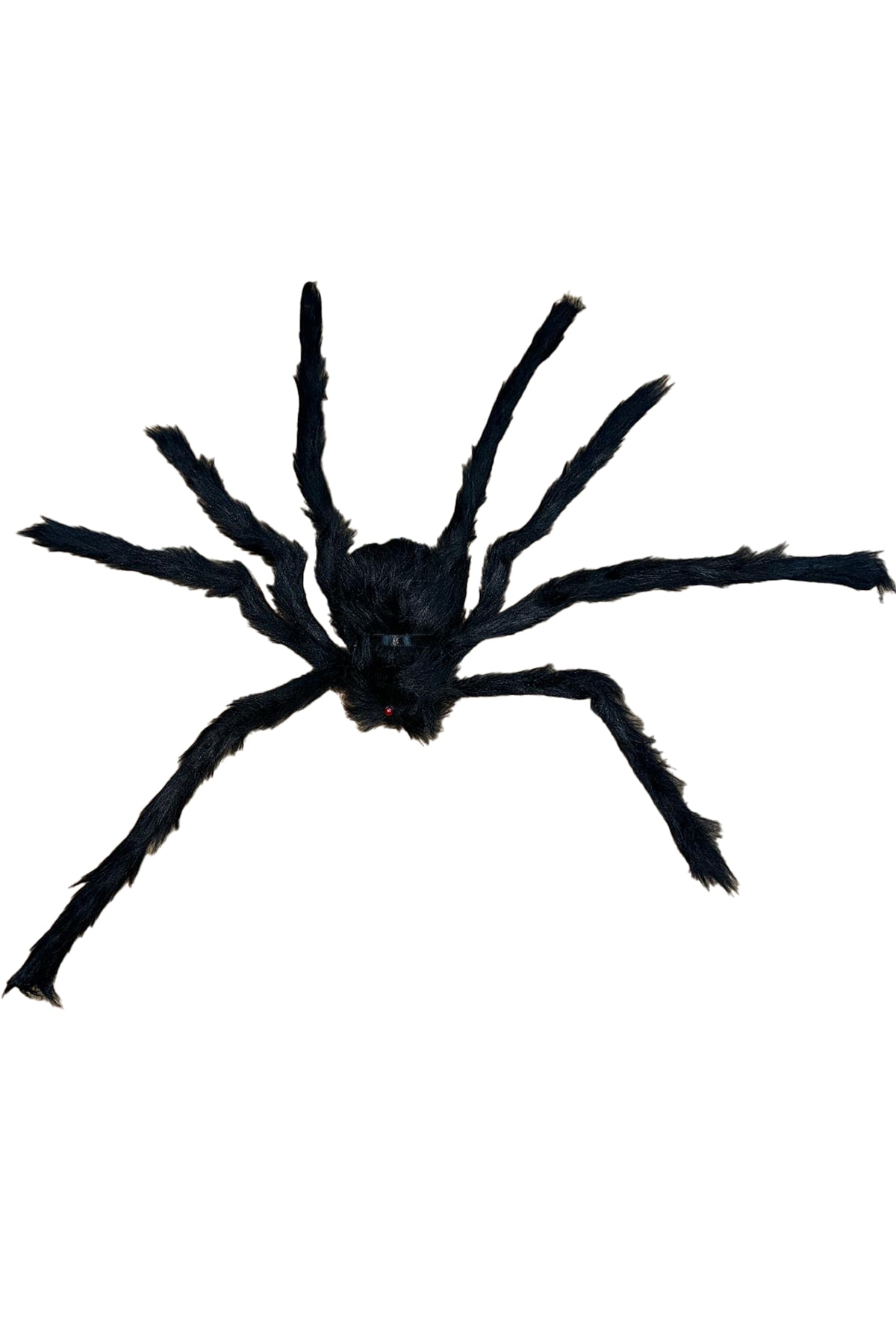 Halloween Siyah Tüylü Örümcek Küçük