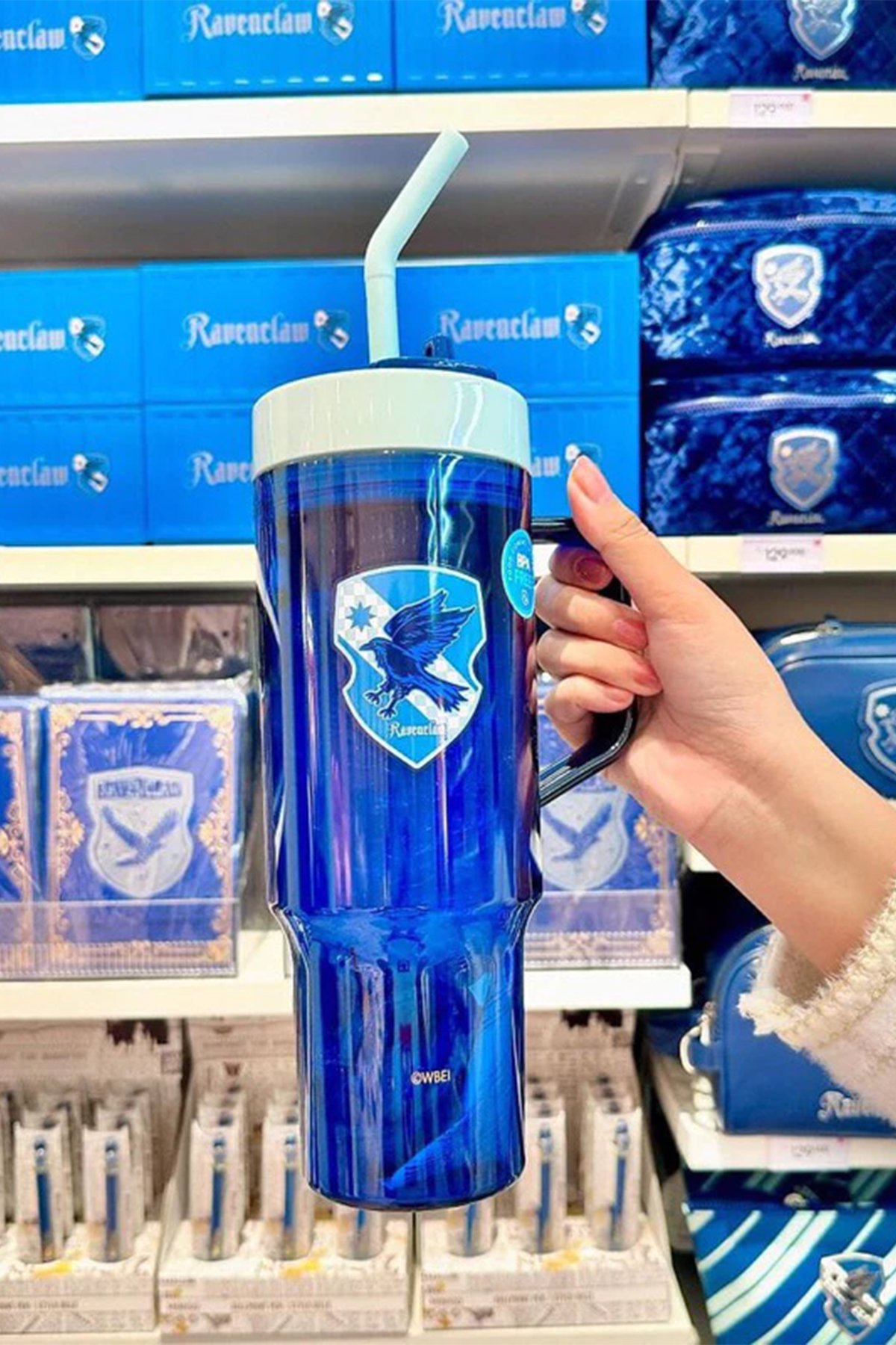 Harry Potter Lisanslı Ravenclaw Kulplu Plastik Şişe (1250ml)