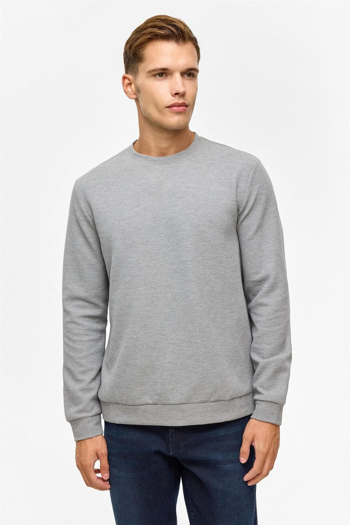 Gri Regular Düz Bisiklet Yaka Sweatshirt