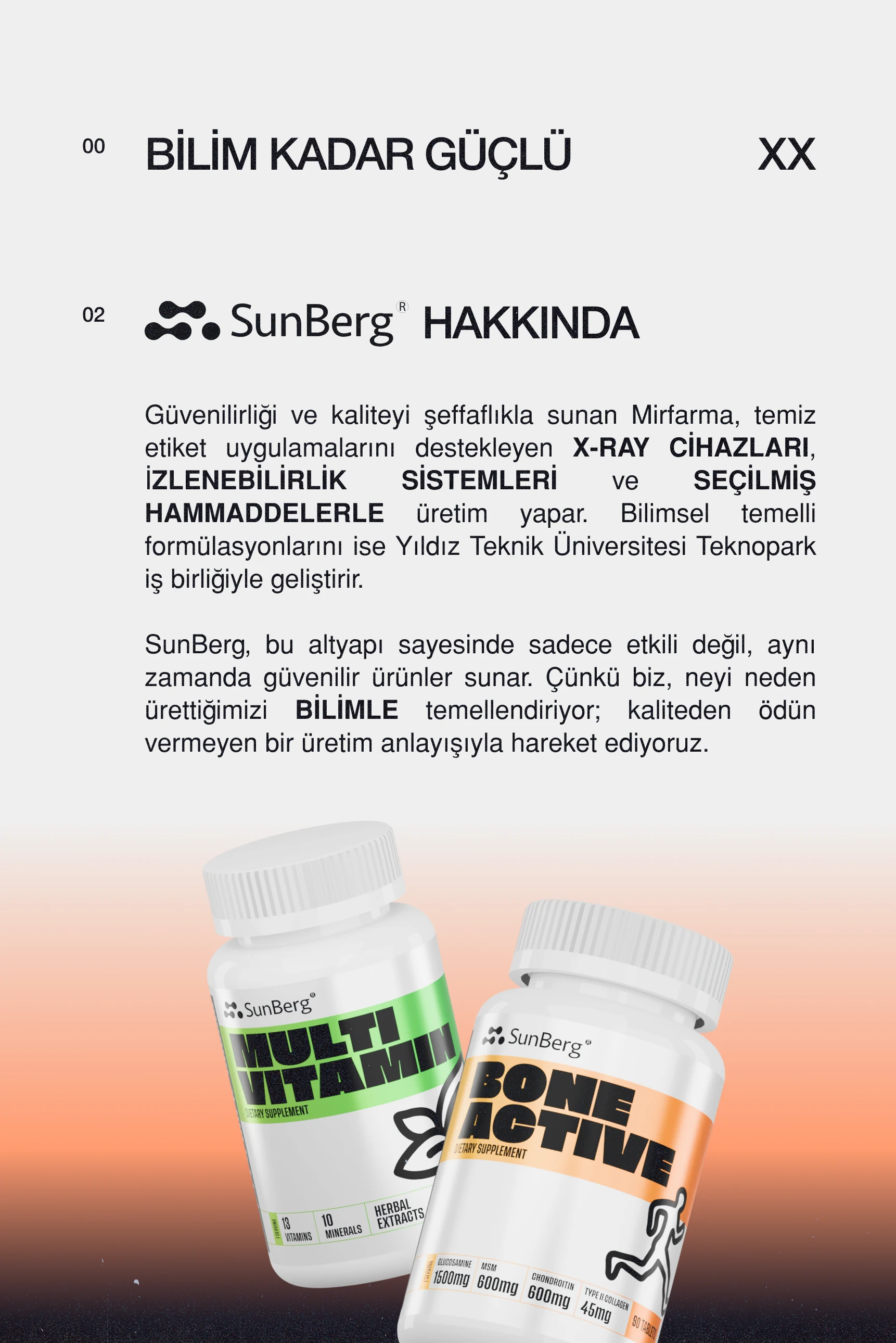 Vegan Protein 15 Servis