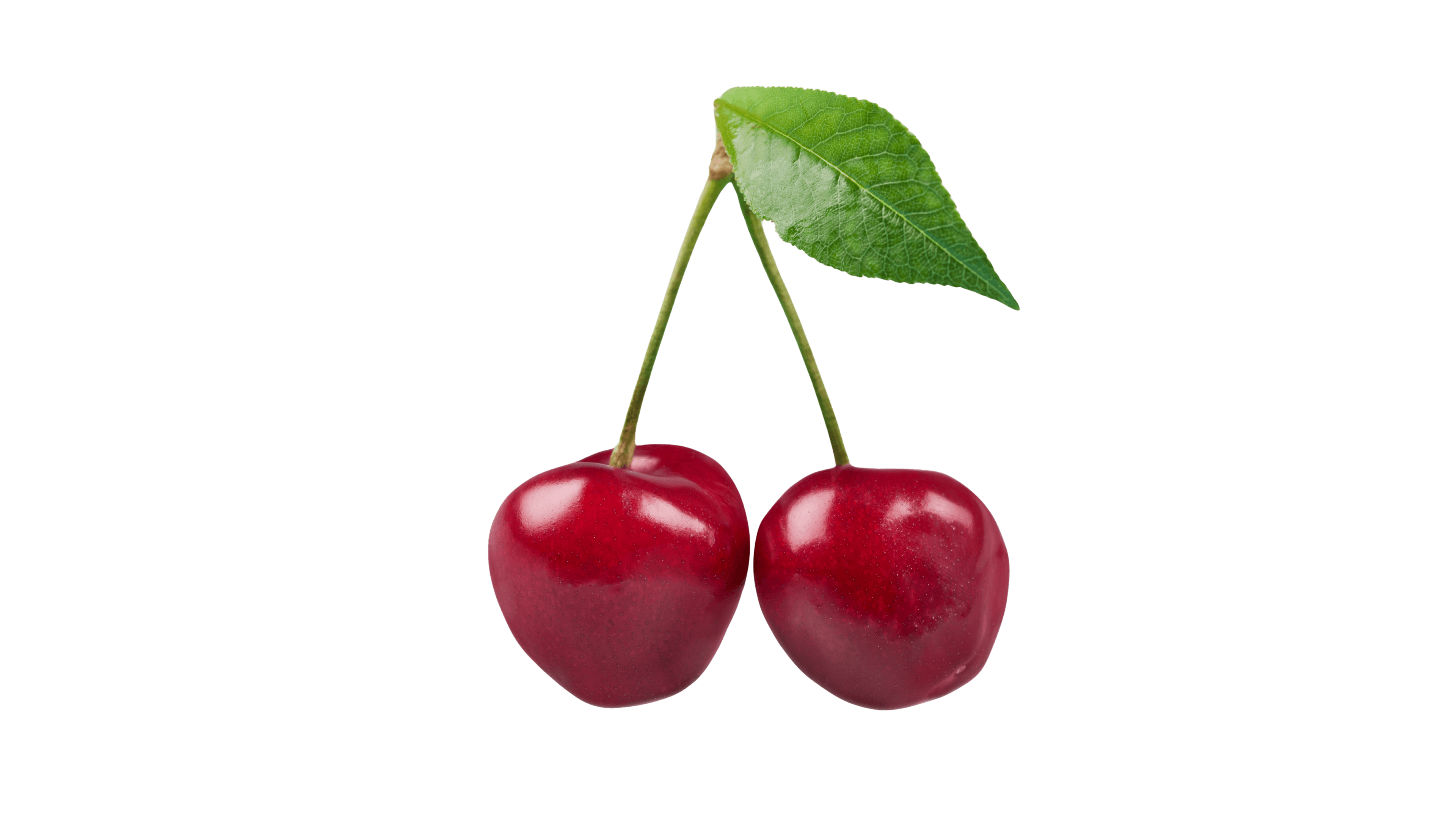 Vişne