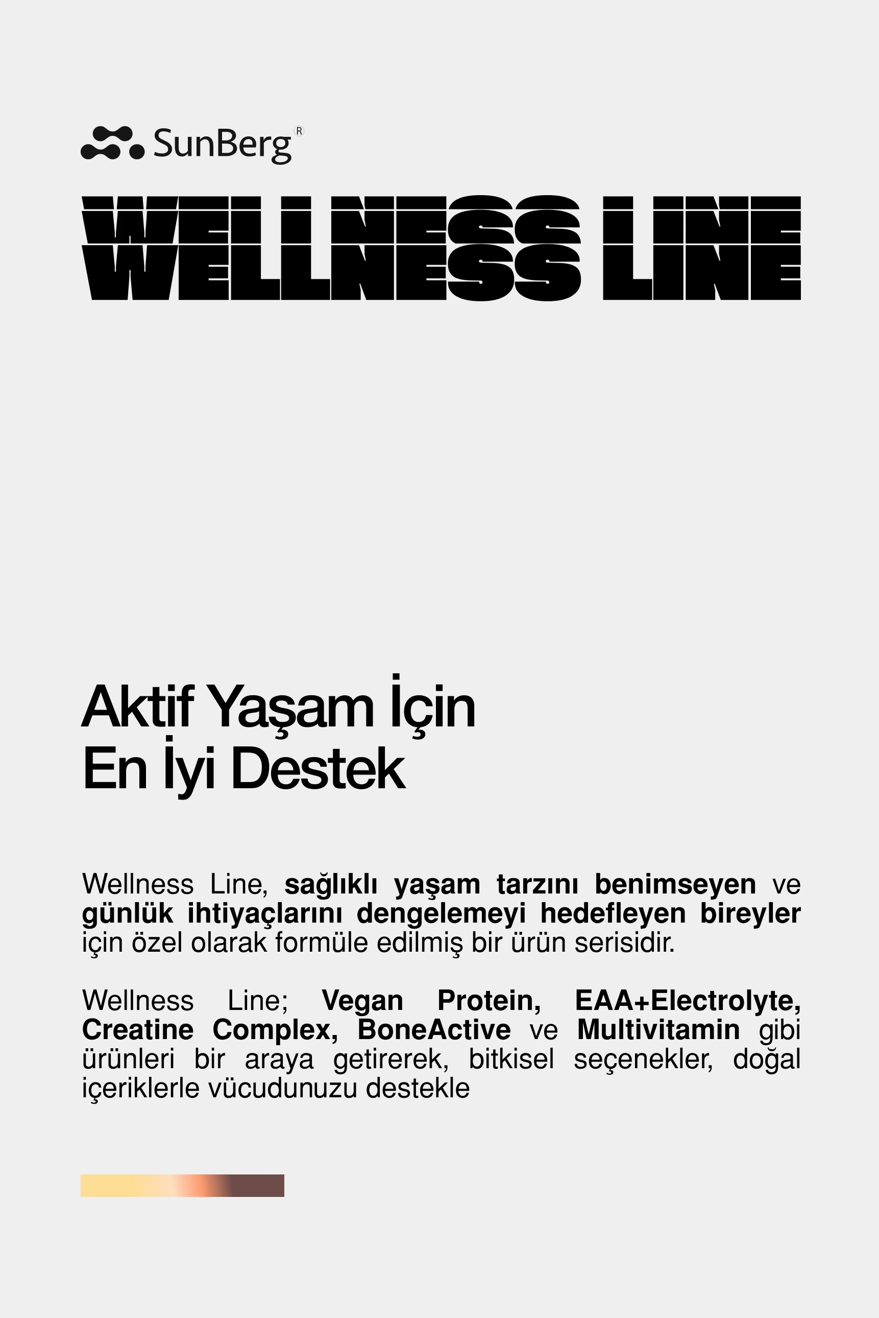 Vegan Protein 15 Servis