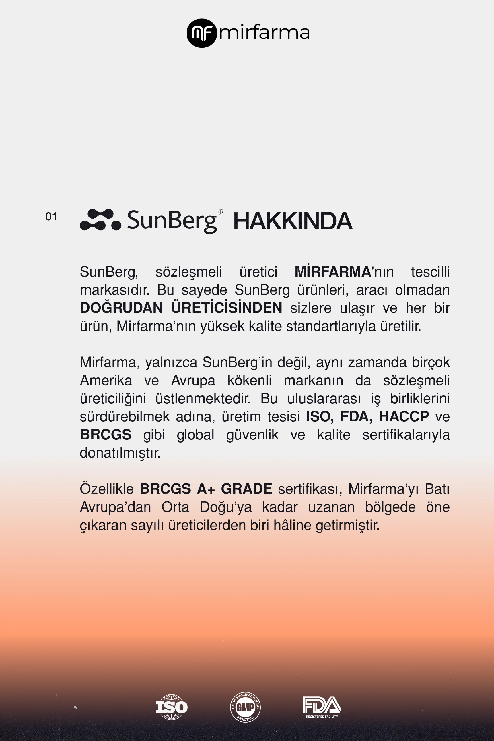 Vegan Protein 15 Servis