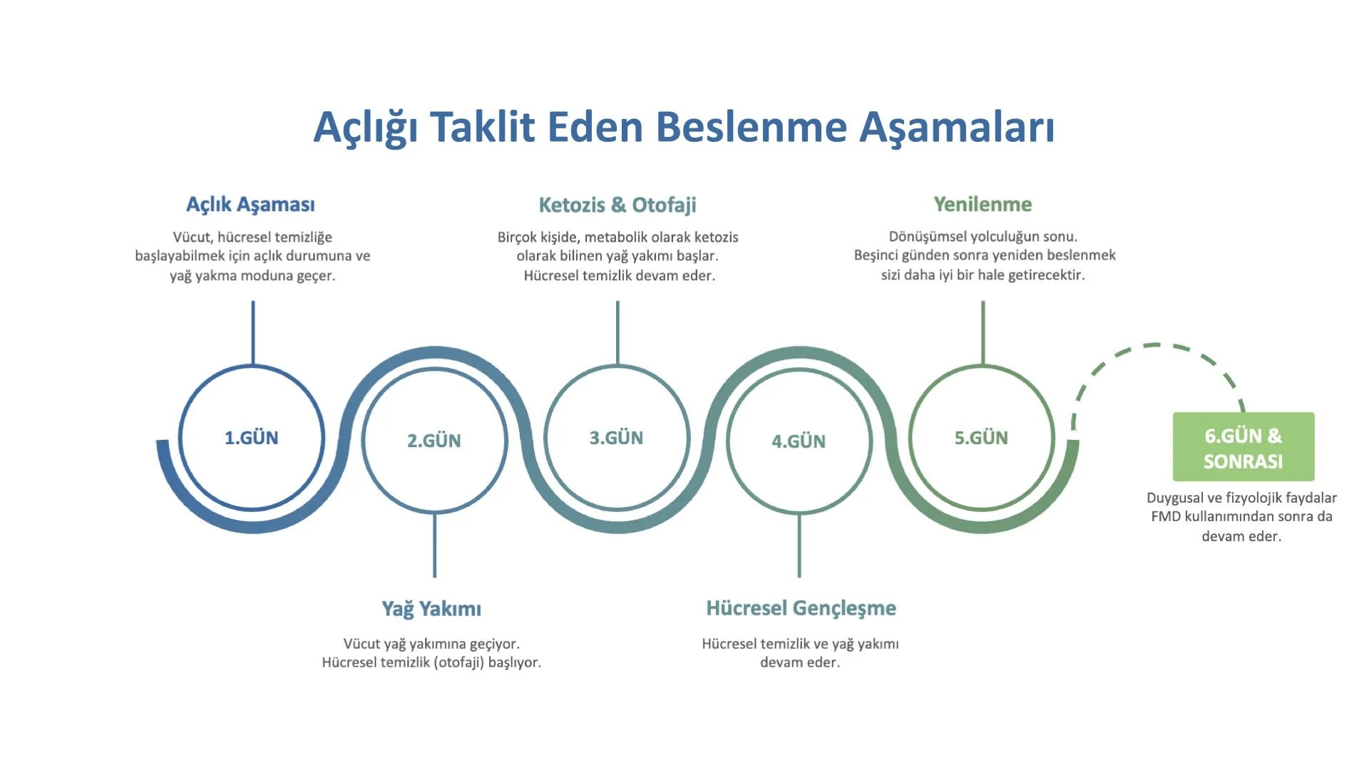 Prolon 5 Günlük Program