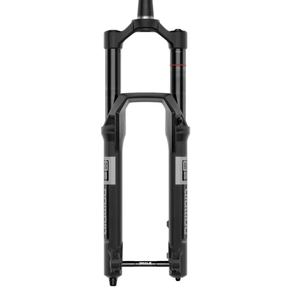 Rockshox Domain Gold R