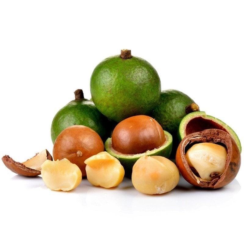 Macadamia Fındığı