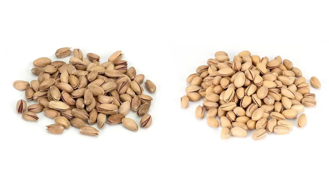 Siirt Fıstığı ve Antep Fıstığı Karşılaştırması