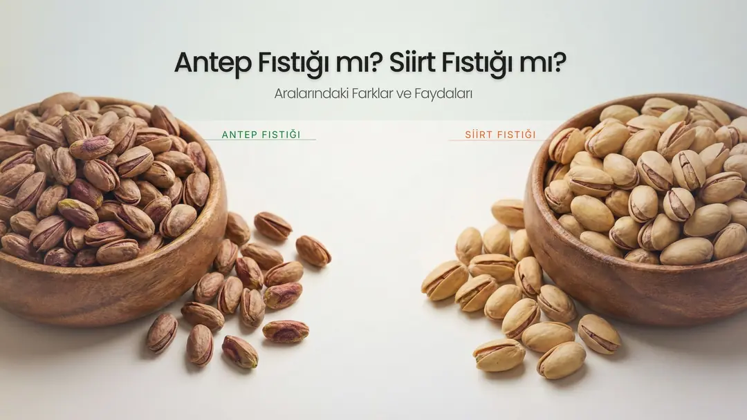 Siirt Fıstığı mı Antep Fıstığı mı? Aralarındaki Farklar ve Lezzet Sırları