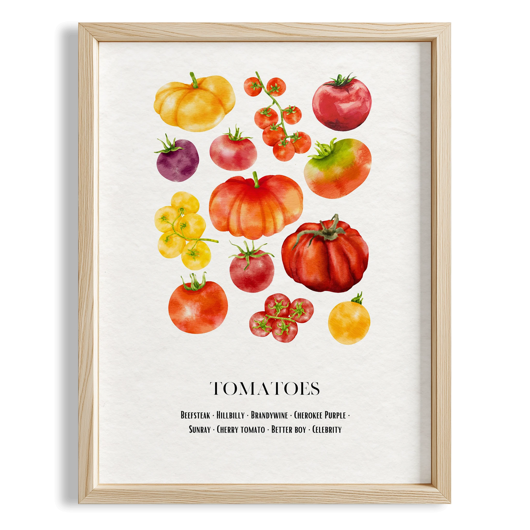 Domates Çeşitleri Sebzeler Mutfak Duvar Tablosu